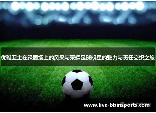 优雅卫士在绿茵场上的风采与荣耀足球明星的魅力与责任交织之旅