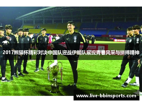 2017熊猫杯精彩对决中国队迎战伊朗队展现青春风采与拼搏精神