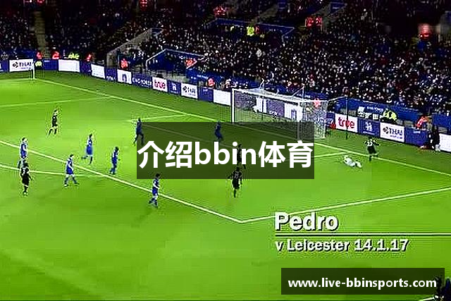 介绍bbin体育